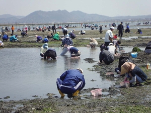 小中山地区海岸 潮干狩り