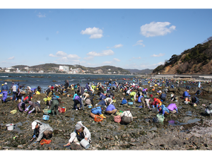 梶島潮干狩り