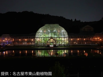 東山動植物園 ナイトZOO