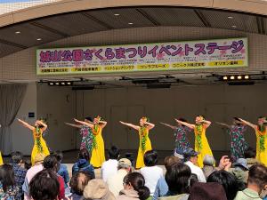 尾張旭・城山公園さくらまつり