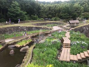 赤塚山公園　花しょうぶまつり