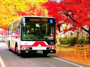 紅葉ルートバス