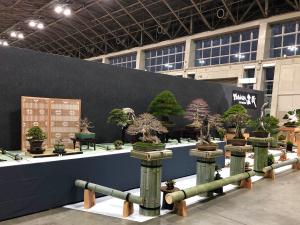 第89回 銘風盆栽展