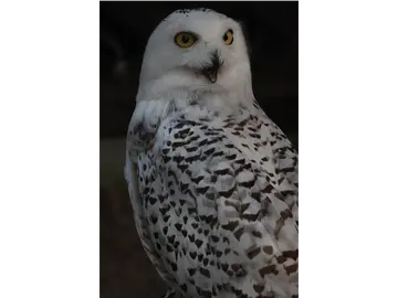 Non Hoi Park Night Zoo