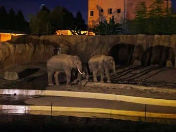 豊橋総合動植物公園(のんほいパーク)「オータムフェスティバル2026」