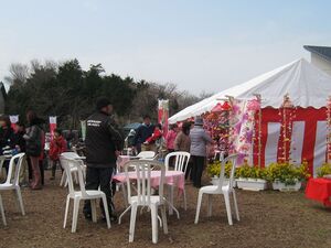 免々田川 菜の花・桜まつり