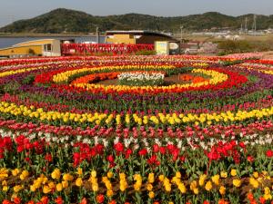 チューリップフェア in サンテパルクたはら