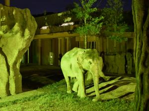 東山動植物園　ナイトZOO＆GARDEN