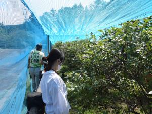 グリーンステージ花の木　山の大自然、夏休みは川遊びで大満喫！