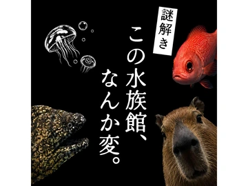 謎解き この水族館、なんか変。