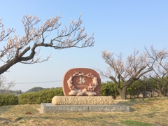 佐布里池梅まつり