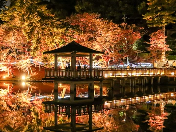 東公園紅葉ライトアップ