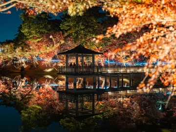 東公園紅葉ライトアップ