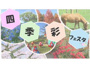 四季彩フェスタ