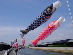 半田運河の鯉のぼり