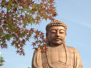 聚楽園公園　もみじまつり