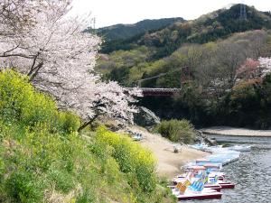 新城さくらまつり