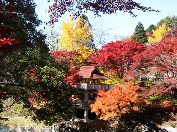 大井平公园红叶节