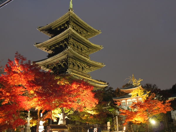 八事山興正寺　紅葉まつり