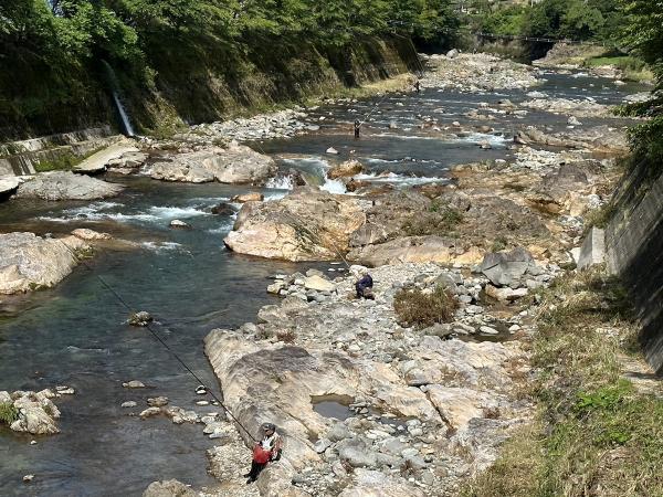 愛知のてっぺん大入川 あまご釣り