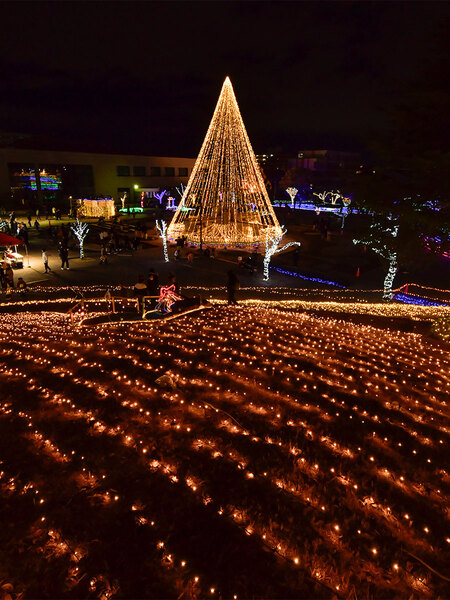 Chiryu Dream Light Display
