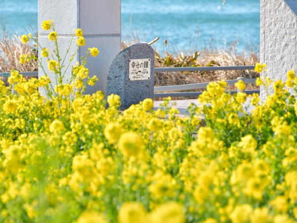 Atsumi Peninsula Nanohana Festival