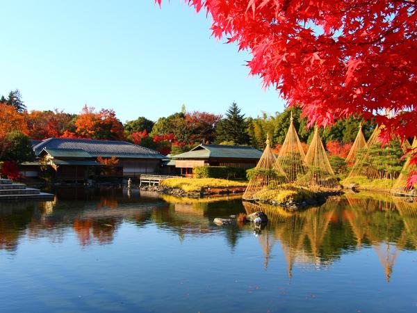 白鳥庭園「観楓会 紅葉茶会」