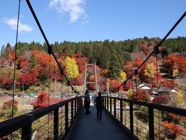 豊田市 稲武 もみじまつり