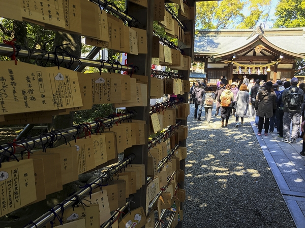 豊年祭(田縣神社)