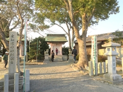 佐布里梅花节