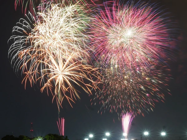 Kariya Wansaka Festival
