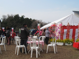 免免田川油菜花和樱花节