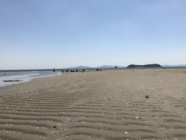 水神 潮干狩り