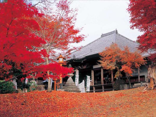 寂光院紅葉