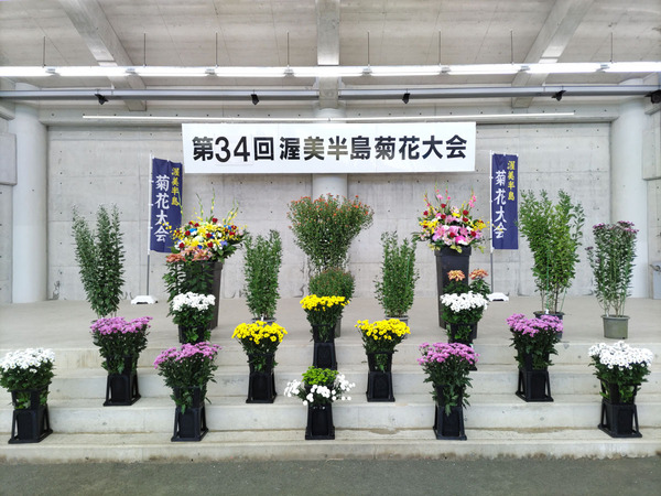 渥美半島菊花大会