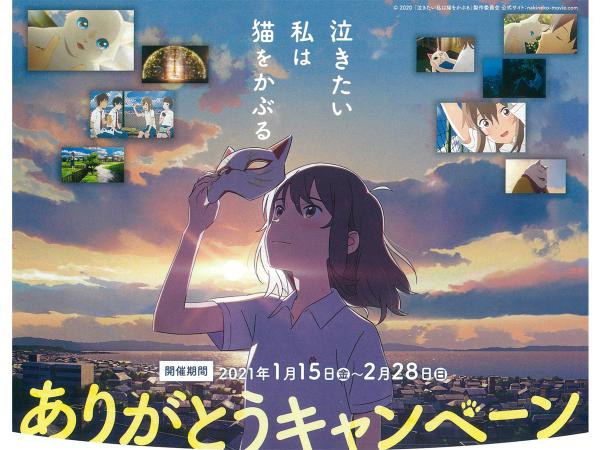泣きたい私は猫をかぶる ありがとうキャンペーン
