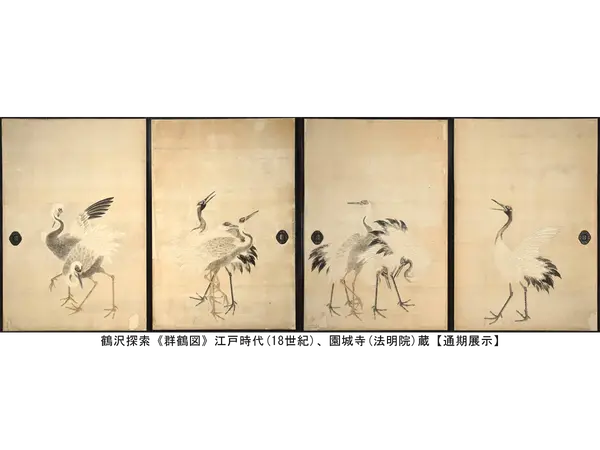 鶴沢探索《群鶴図》江戸時代(18 世紀)、園城寺(法明院)蔵【通期展示】