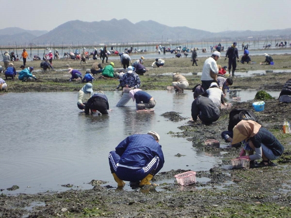 小中山地区海岸 潮干狩り