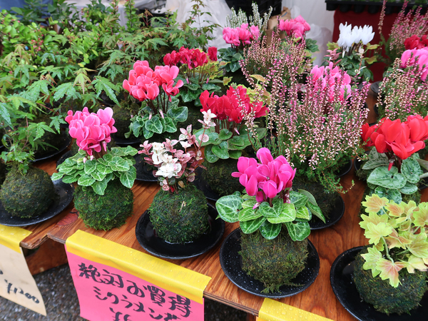 あいち花マルシェ