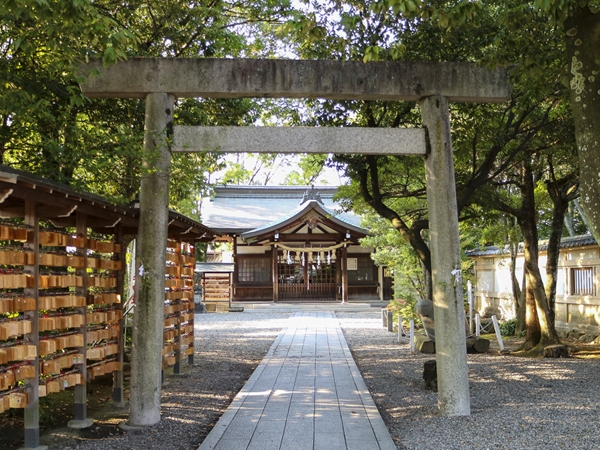 豊年祭(田縣神社)