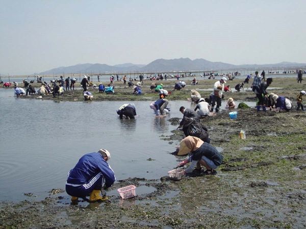 小中山地区海岸 潮干狩り