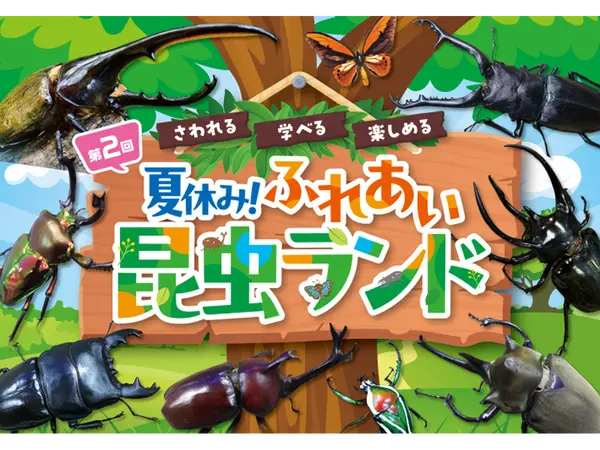 夏休み!ふれあい昆虫ランド