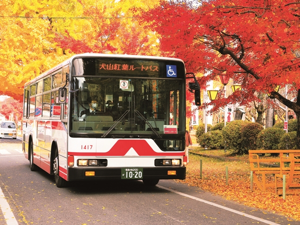 紅葉ルートバス