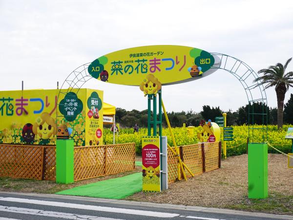 Atsumi Peninsula Nanohana Festival