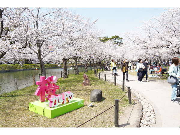刈谷桜まつり【亀城公園】