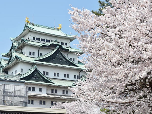 名古屋城 春まつり