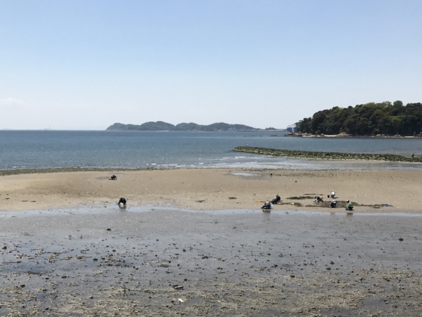 水神 潮干狩り