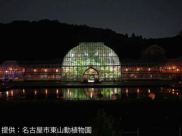 Night Zoo
