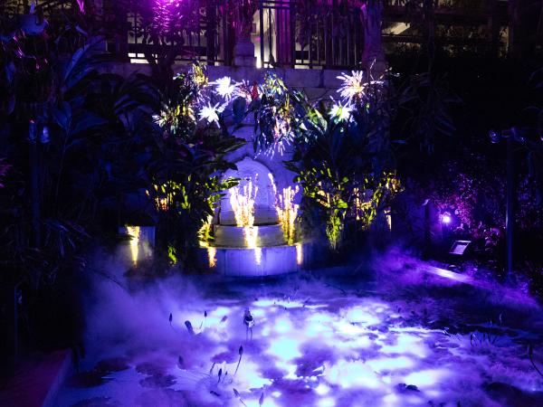 Non Hoi Park Night Zoo