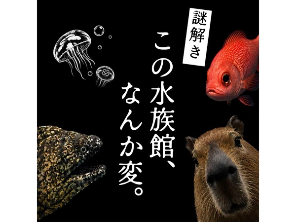 謎解き この水族館、なんか変。